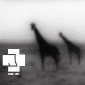 File:merch 211 4.webp