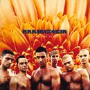 Visions promotional CD cover