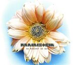 Du riechst so gut 28 August 1995