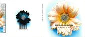Digipak