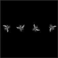 Thumbnail for version as of 23:04, 13 May 2026