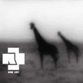 Thumbnail for version as of 20:33, 13 May 2026