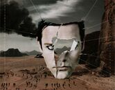 Standard edition inlay