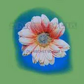 Thumbnail for version as of 00:25, 14 May 2026