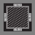 Thumbnail for version as of 20:00, 13 May 2026