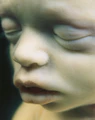 Thumbnail for version as of 04:21, 31 May 2026
