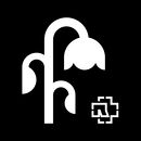 Wehmut 10 November 2021