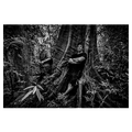 Thumbnail for version as of 21:04, 13 May 2026