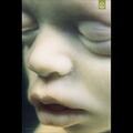 Thumbnail for version as of 04:53, 12 January 2025