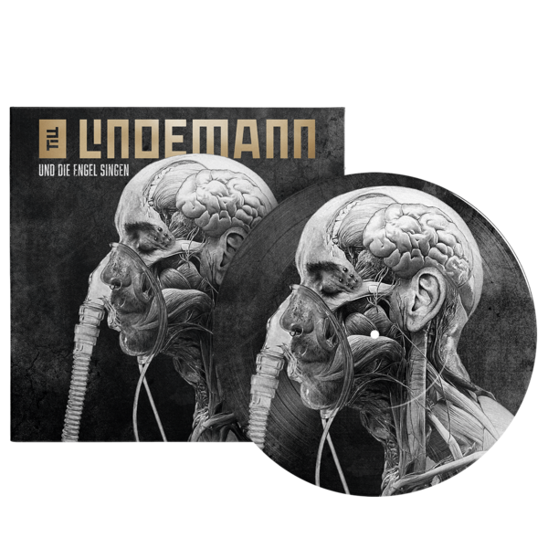 File:UDES picture-vinyl.png