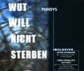 Thumbnail for version as of 05:23, 12 January 2025