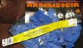 Thumbnail for version as of 04:41, 12 January 2025