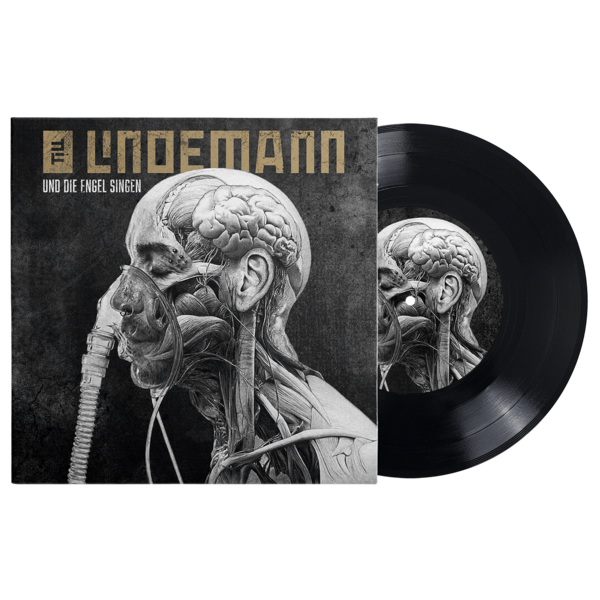 File:UDES vinyl.png