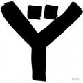 Thumbnail for version as of 05:23, 12 January 2025