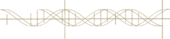 2001 - 2002 Double-helixes. Used widely across the Mutter-era singles and in the album artwork.